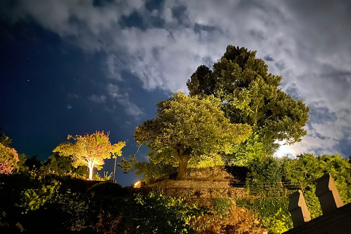 Jardín iluminado al atardecer, con vistas al paisaje. Compartido por todos los huéspedes.