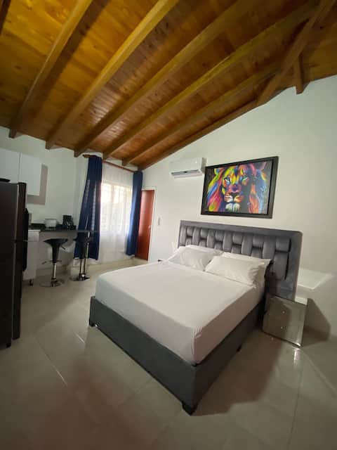 Apartaestudio 2 min. from Centro