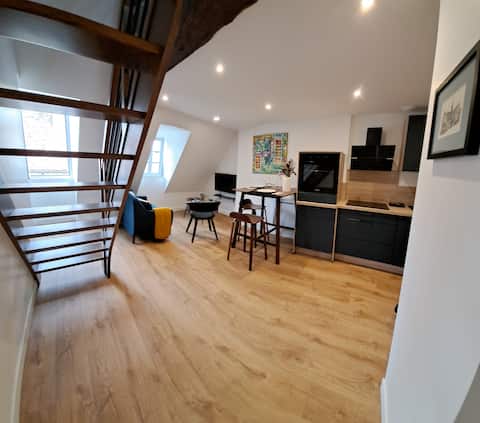 Propriété Airbnb réussie: Duplex Hotel des Griffons à Côte D'or