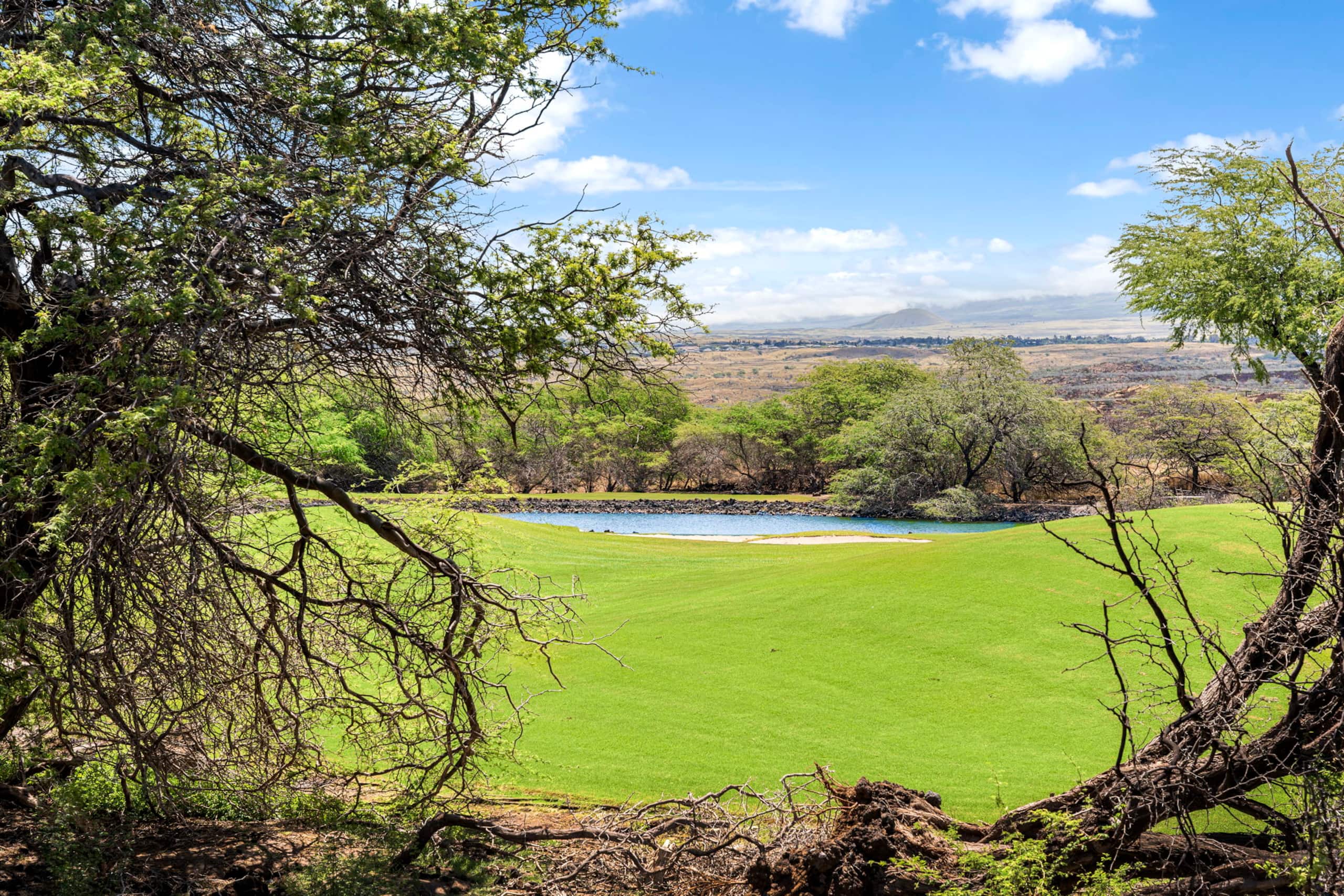 Townhouse in Waimea · ★5.0 · 3 bedrooms · 4 beds · 2.5 baths - Image 41