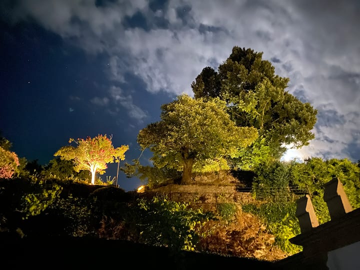 Vista al patio.