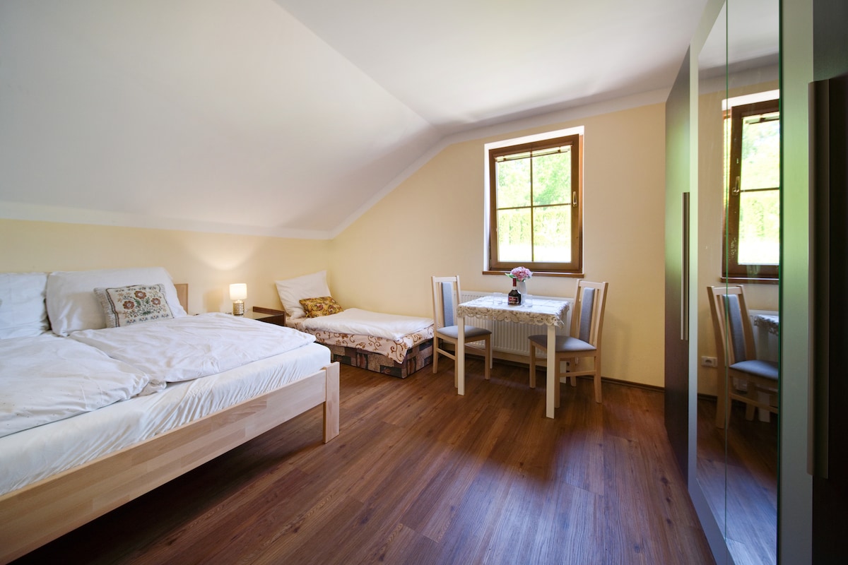 A bright and spacious room features a large bed and a single bed, complemented by a window allowing natural light. A wooden table is set with two chairs, and a wardrobe stands against the wall, providing storage space.