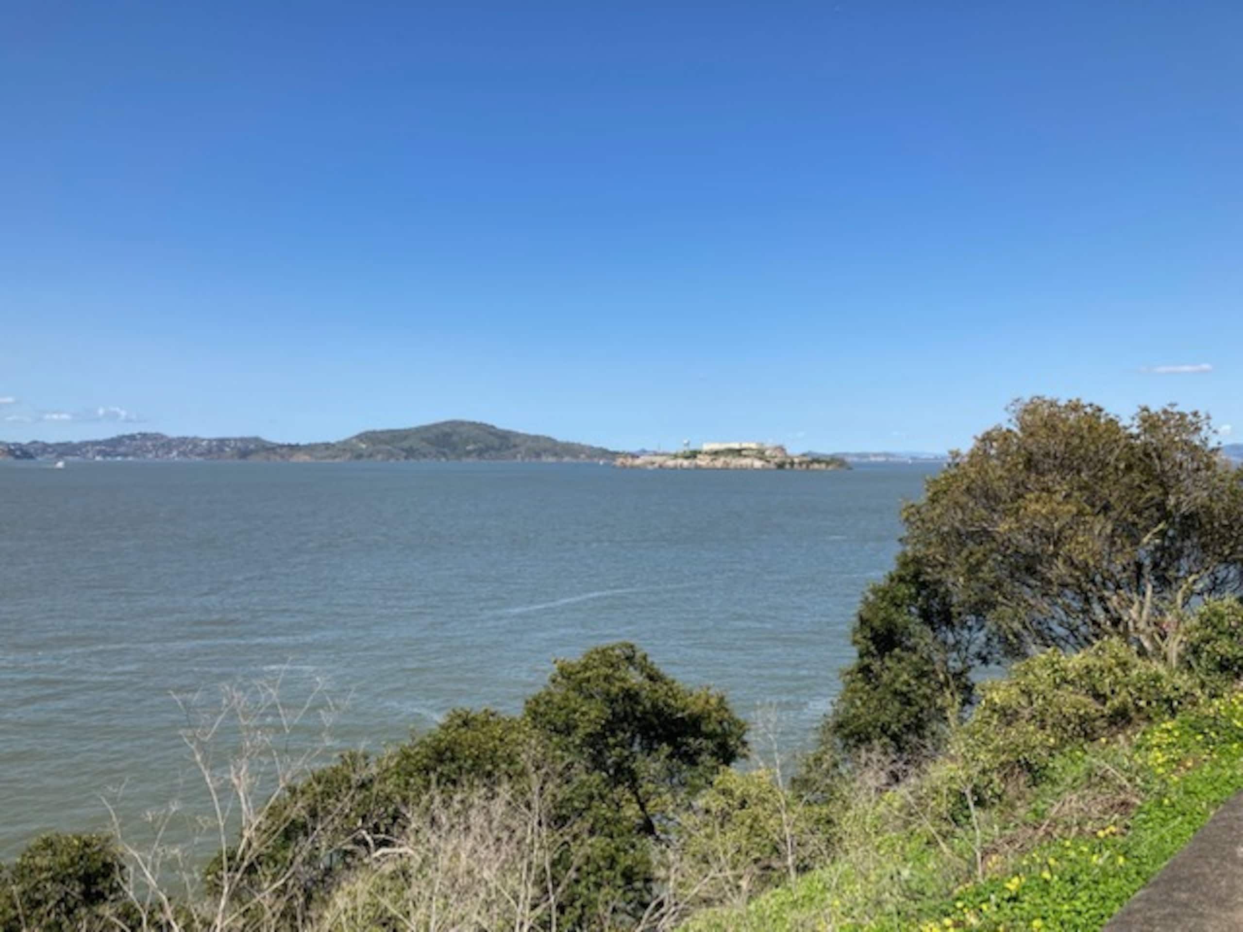Condo in San Francisco · ★4.96 · 1 bedroom · 1 bed · 1 bath - Image 22