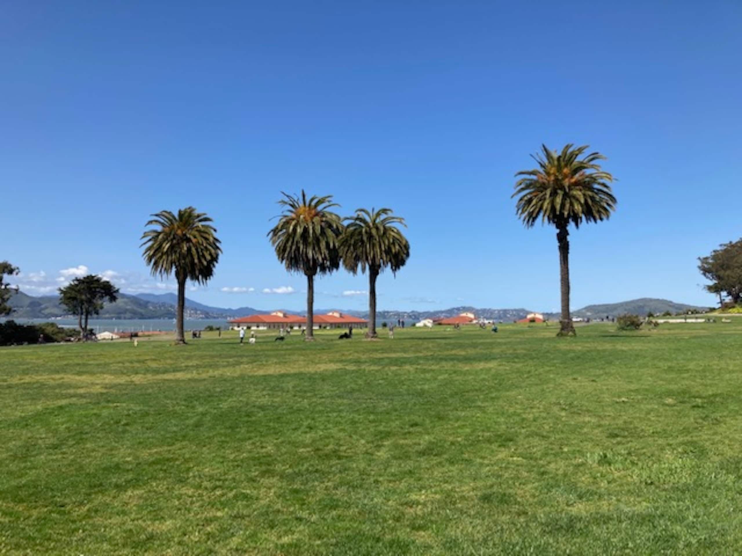 Condo in San Francisco · ★4.96 · 1 bedroom · 1 bed · 1 bath - Image 18