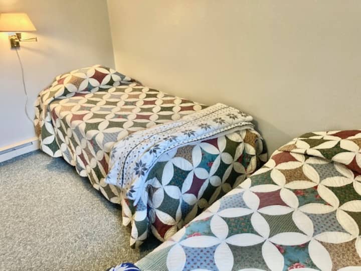 Habitación 2, 2 individuales en la planta baja.