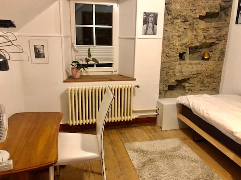 Great lakeview Zurich under the roof s