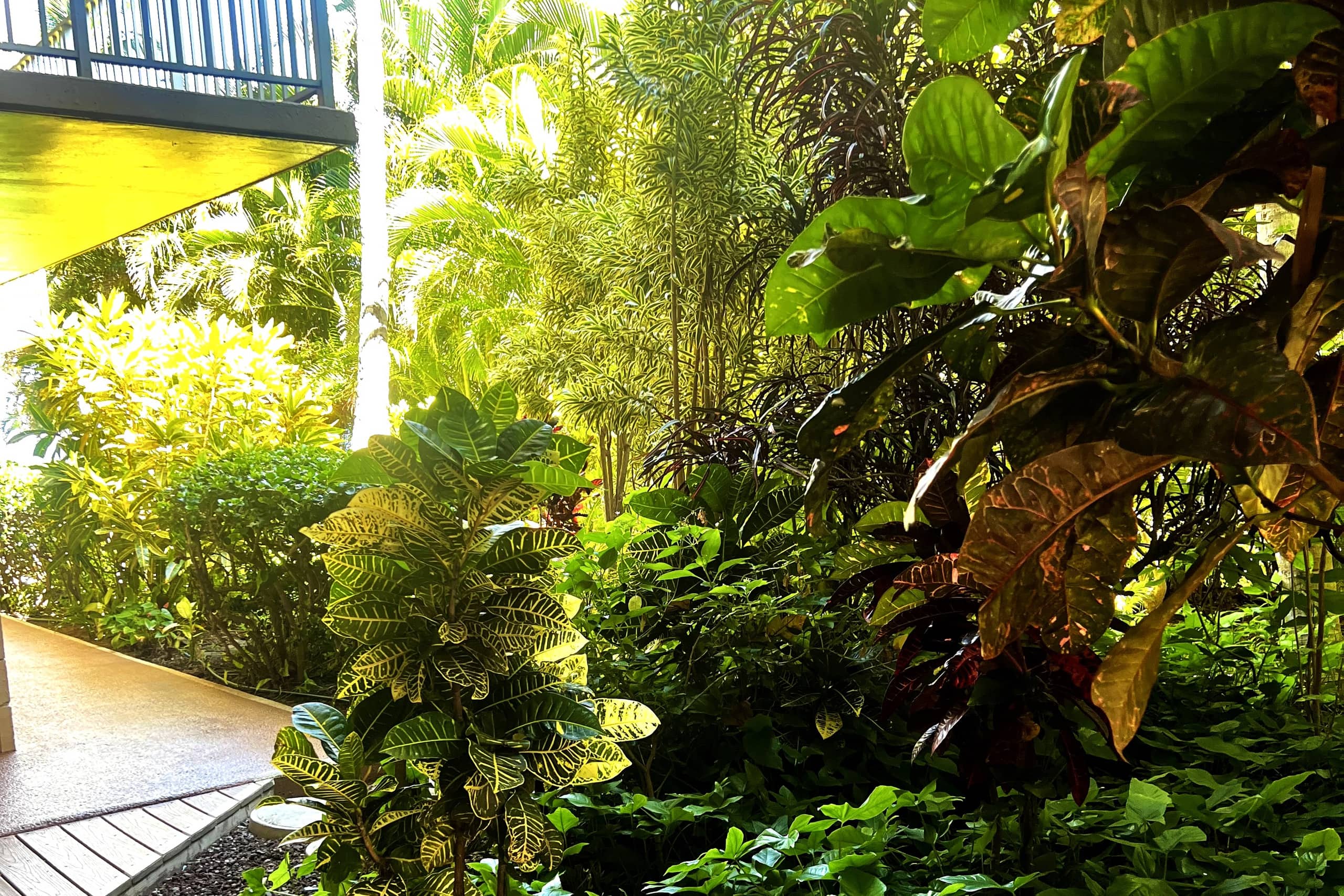 Condo in Kihei · ★4.94 · 2 bedrooms · 3 beds · 2 baths - Image 28