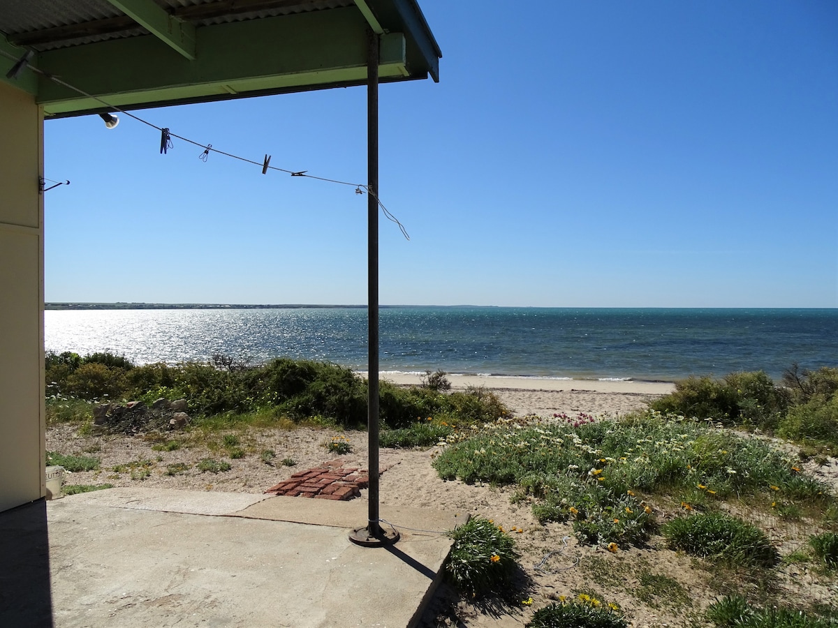 The outdoor area features a view of the beach and ocean, with gentle waves lapping at the shoreline. Clothesline is visible, and native vegetation grows along the sandy landscape, enhancing the natural setting.