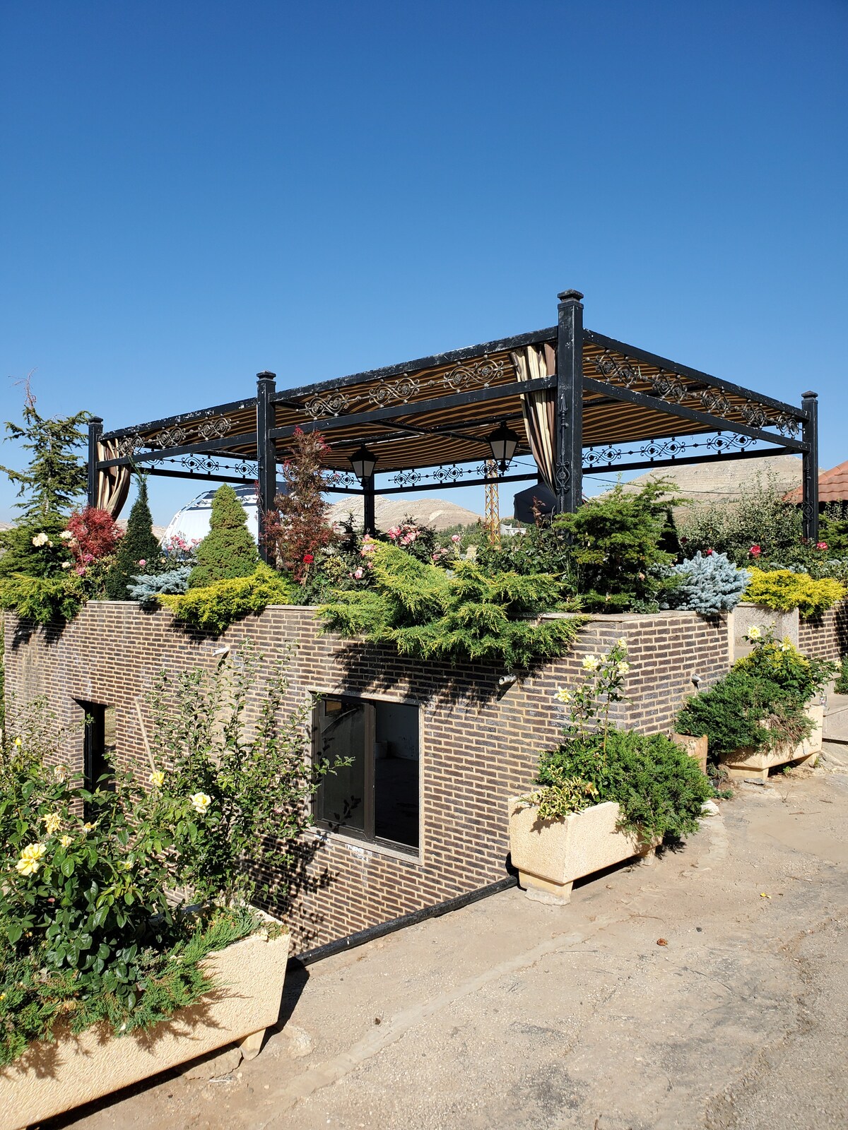 A rooftop terrace is adorned with various plants and flowers, surrounded by decorative planters. The structure's framework, featuring a woven canopy, provides shade, while the clear blue sky serves as a backdrop, adding to the serene outdoor environment.