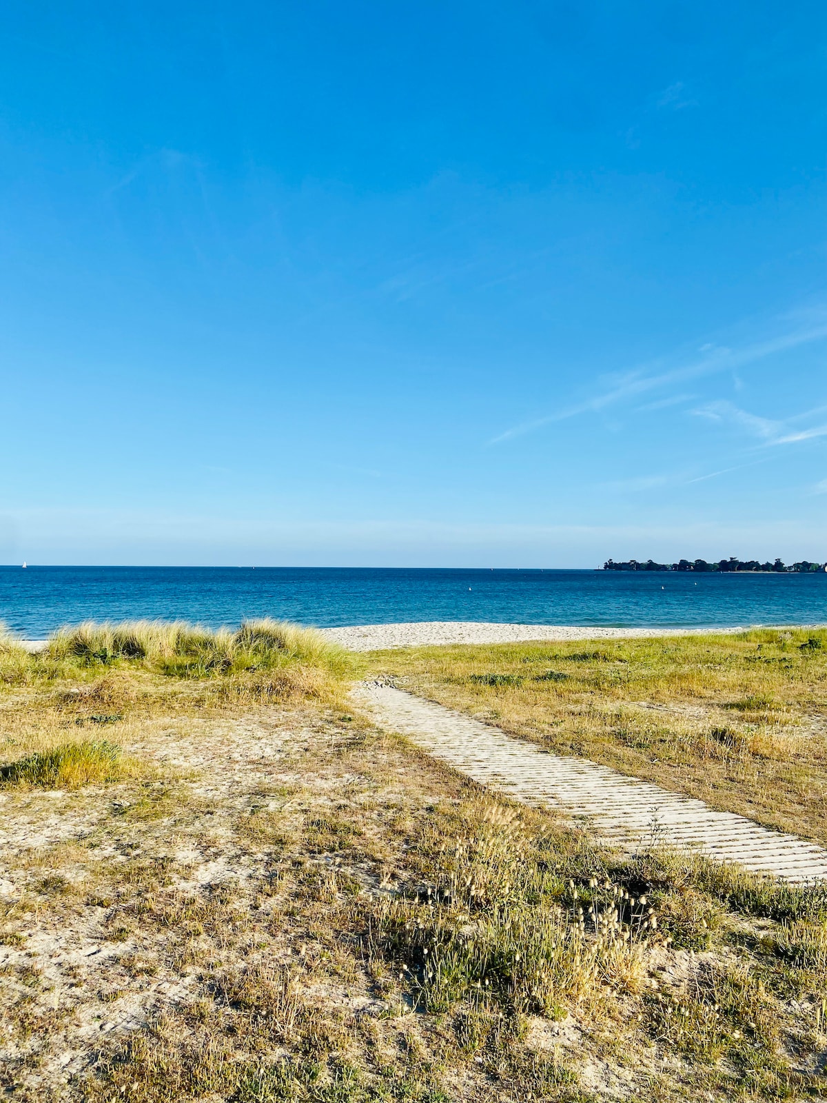A sandy path meanders through tall grass leading to a calm beach. The clear blue sky meets the water's horizon, where gentle waves lap against the shore. Distant land can be seen on the right, enhancing the tranquil environment.