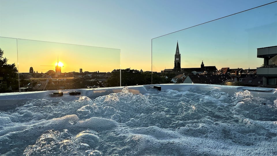 Top-earning Airbnb listing in Freiburg im Breisgau, 2 bedrooms
