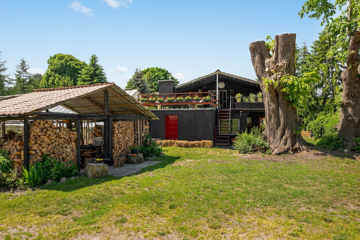 A spacious garden area is surrounded by lush greenery, featuring a rustic wooden shelter with stacked firewood. The unique black house with a red door and a balcony overlooks the scene, complemented by tall trees adding to the natural setting.