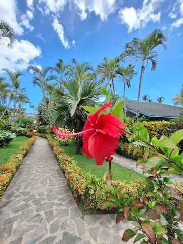 Palm Estate Las Terrenas managed Airbnb listing 2