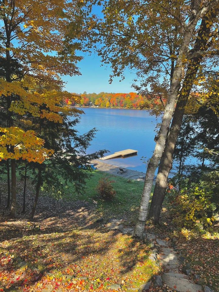 3 Cottages In Muskoka! - Muskoka