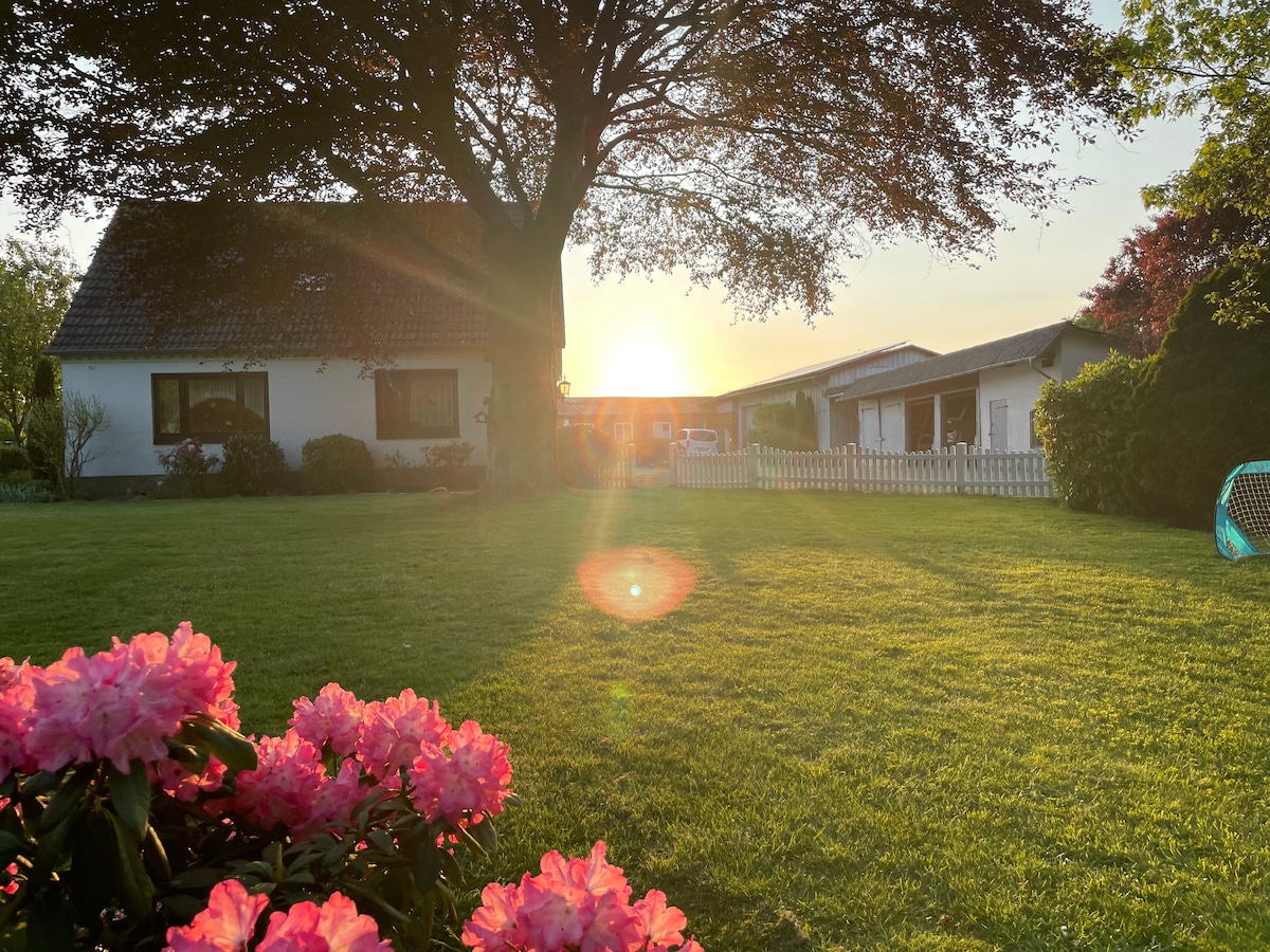 A vibrant garden area is visible, featuring lush green grass illuminated by the warm glow of a setting sun. In the background, a charming white house and a barn are framed by trees, while colorful blooms add a touch of life to the scene.