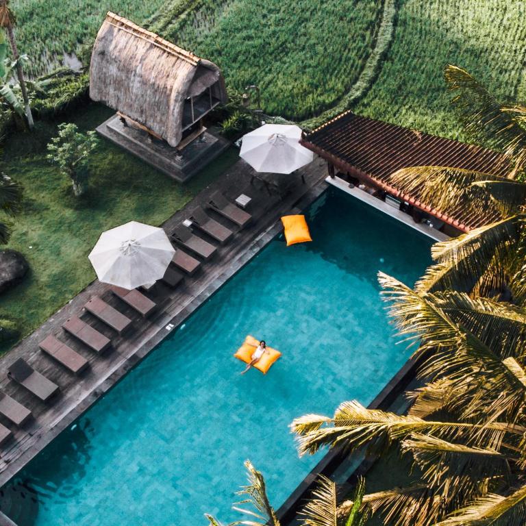An aerial view captures a turquoise swimming pool framed by sun loungers and shaded by large umbrellas. Bright orange floatation devices are visible in the water, while lush greenery surrounds the area, adding to the serene atmosphere created by the tranquil rice fields in the background.