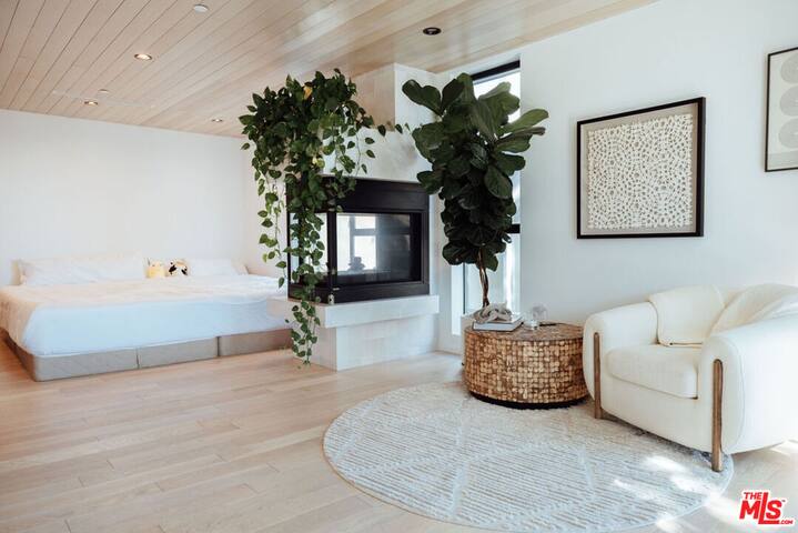 Venice Beach Luxury Masterpiece gallery image 2