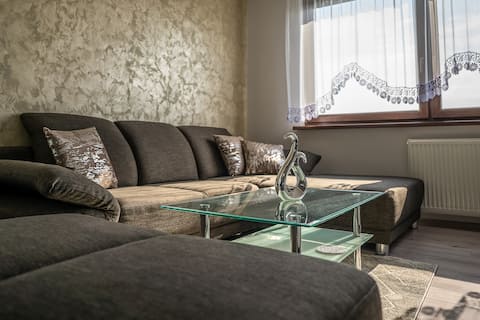 Modern apartment near the center