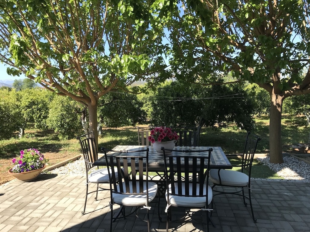 A patio dining set is surrounded by trees, offering shade and a view of a citrus field. The table features a floral centerpiece, and six black chairs are placed around it. Native plants and colorful pots enhance the tranquil outdoor environment.