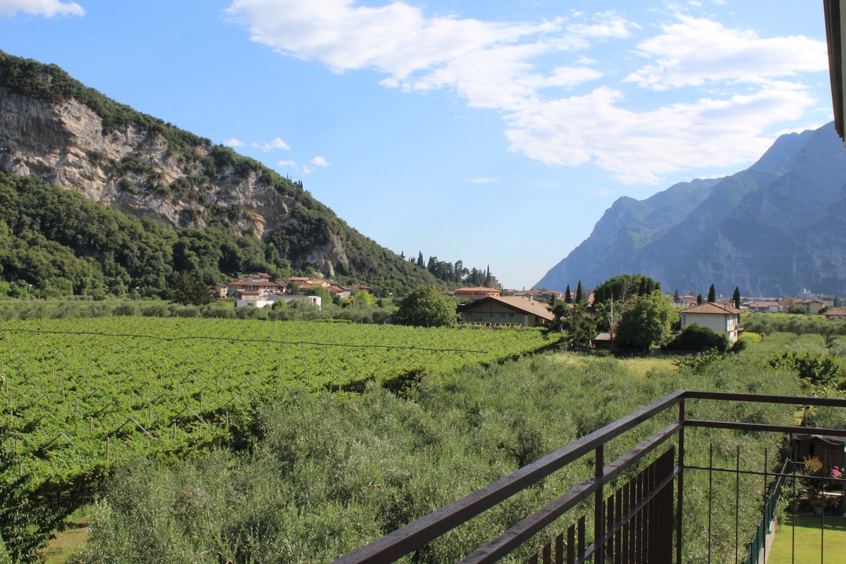 The image captures a scenic view from a balcony, overlooking lush vineyards and olive groves. Rolling hills and mountains are visible in the background, under a bright, partly cloudy sky. The tranquil landscape reflects the natural beauty of the surrounding area.