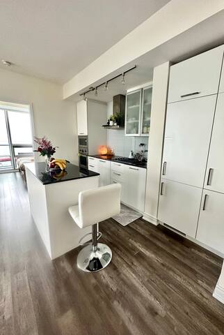 66th SkyHome-CN Tower, Union Stn gallery image 5