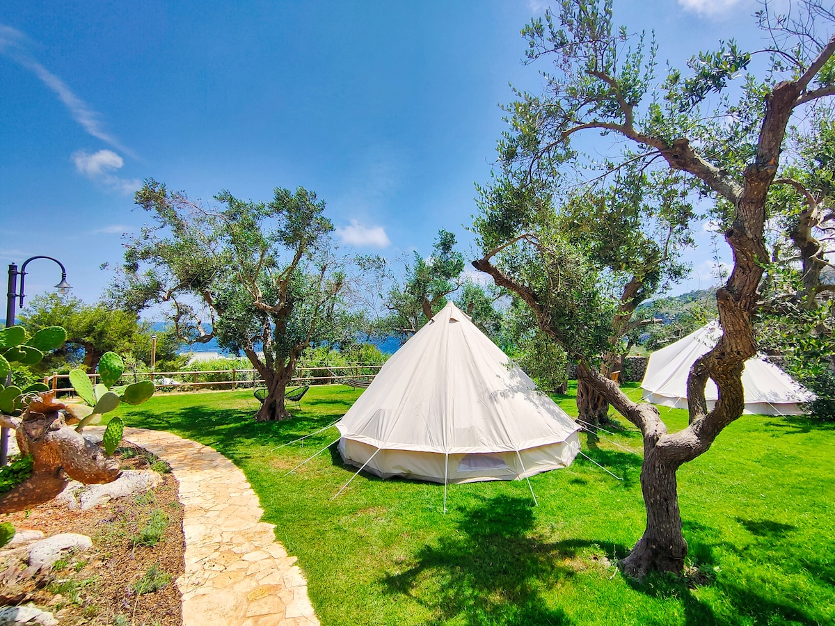 Two spacious glamping tents are situated on a green lawn under ancient olive trees, with a clear view of the sea in the background. A stone pathway winds through the garden, inviting exploration of the tranquil outdoor space.