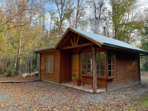 Cabin located in the forest (EspacioAviGo)