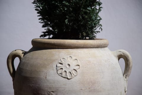 Popular Airbnb listing: House of the Vettii in Pompei
