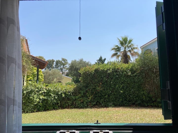 Room 3 - The view from the window