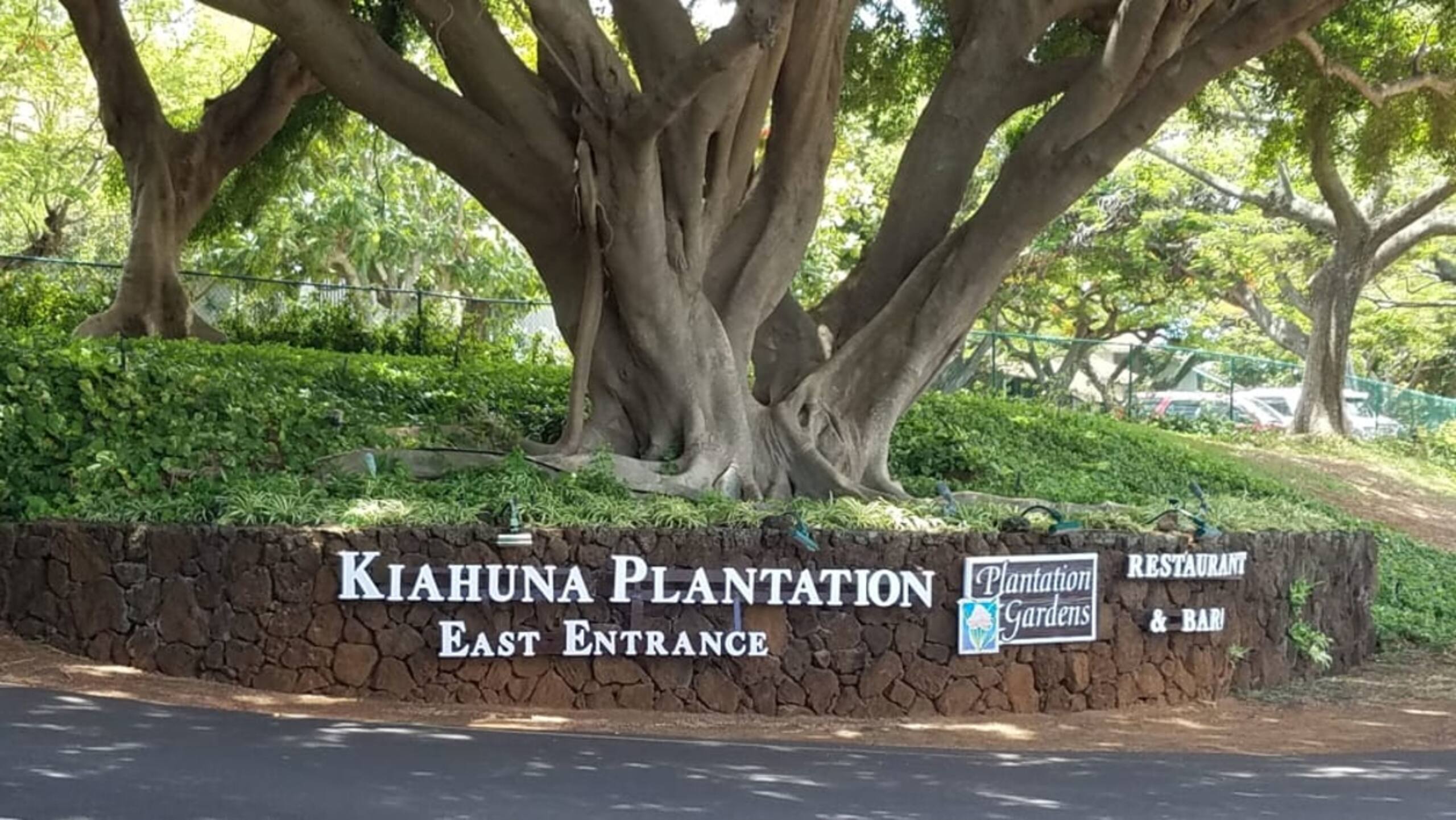 Kiahuna | AC |Ground Floor End Unit | Family Oasis - Image 25