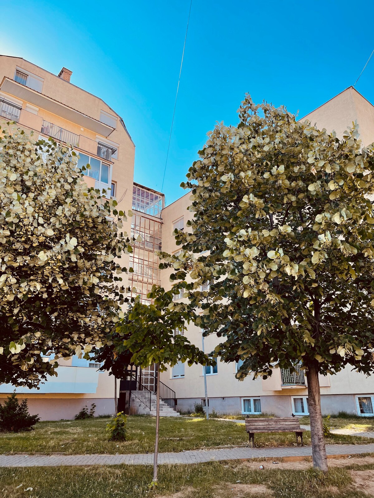 The exterior of the building showcases a modern architectural design, surrounded by leafy trees. The ground is landscaped with greenery and a small pathway, leading towards the entrance. A clear blue sky can be seen above, enhancing the inviting atmosphere of the location.