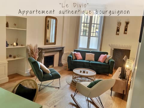 Annonce Airbnb populaire: Le Divio: Central ~ Garden ~ Fireplace ~ Burgundy à Dijon