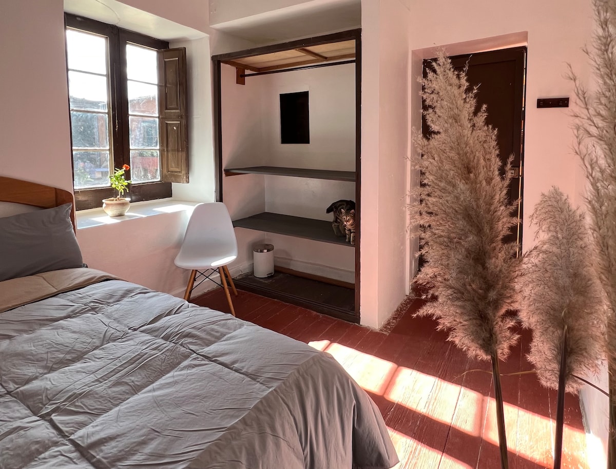 A private guest room offers a spacious bed with neutral bedding, complemented by a small shelf against the wall. Light enters through wooden-framed windows adorned with flower pots. A sleek white chair and a decorative pampas grass arrangement contribute to the room's welcoming atmosphere.