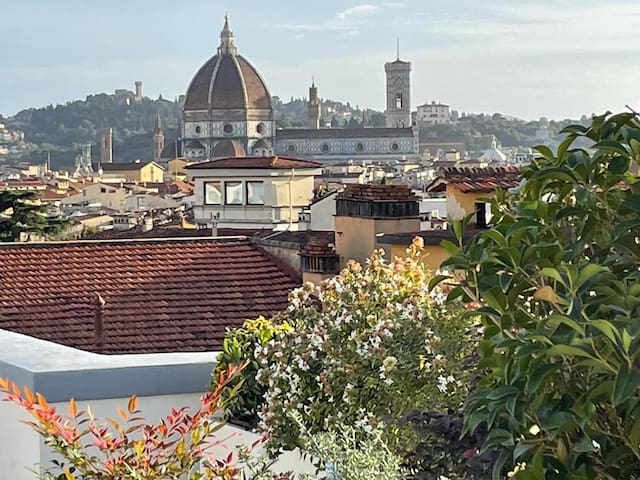 Caterina de’ Medici luxury attic w/ terrace