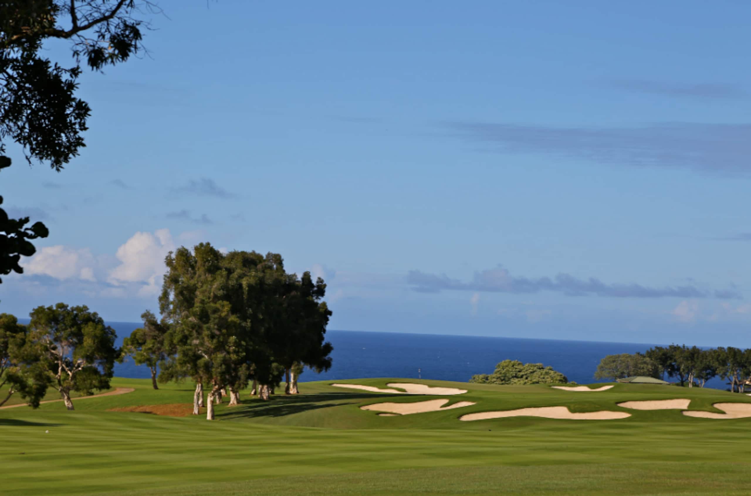 Condo in Princeville · ★5.0 · Studio · 1 bed · 1 bath - Image 15