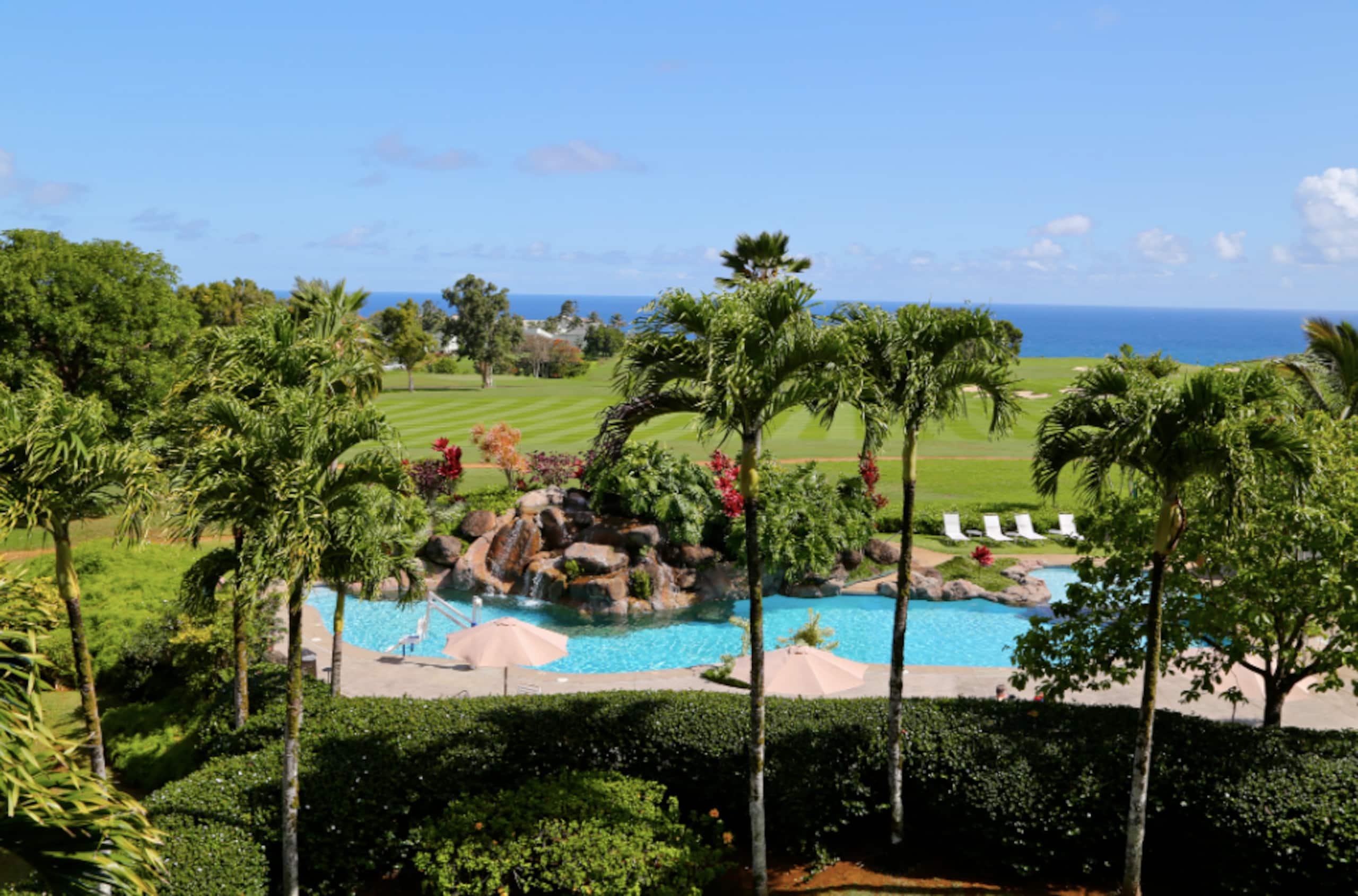 Condo in Princeville · ★5.0 · Studio · 1 bed · 1 bath - Image 21