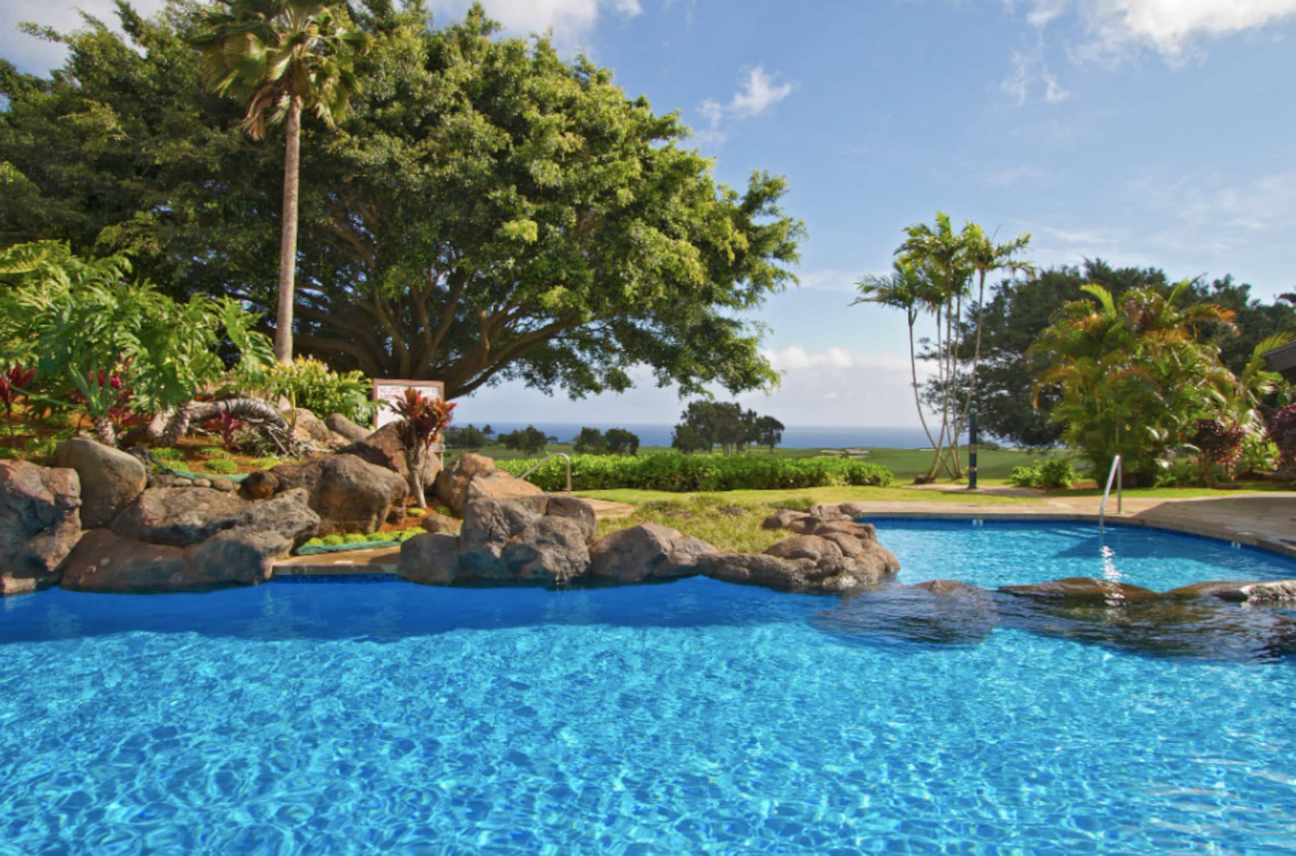 Condo in Princeville · ★5.0 · Studio · 1 bed · 1 bath - Image 23