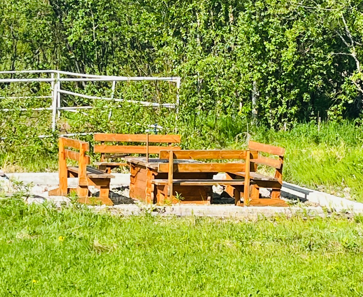 An outdoor seating area is surrounded by greenery, featuring wooden benches arranged around a central fire pit. The space is set on a stone foundation, offering a relaxing spot for gatherings. Nearby trees provide a natural backdrop, contributing to the tranquil environment.