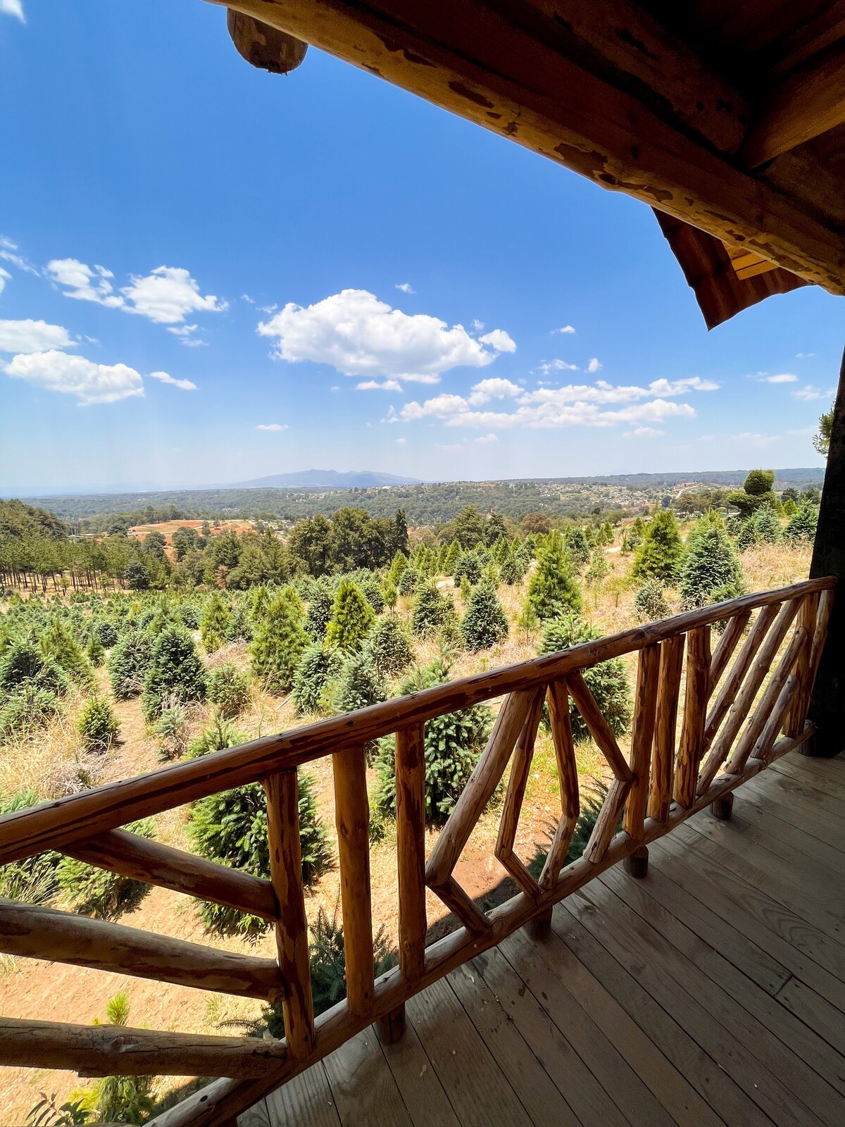 A wooden balcony offers scenic views of lush greenery and rolling hills under a bright blue sky dotted with clouds. Rows of trees stretch into the distance, creating a tranquil and natural landscape.