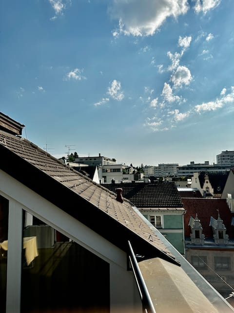 Living above the rooftops of Bregenz