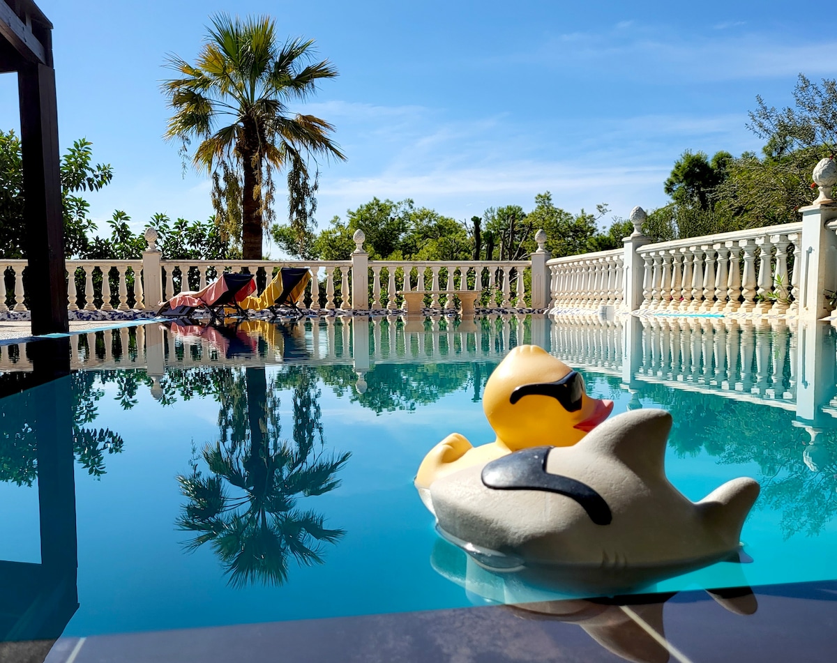 A tranquil pool area is depicted, featuring clear blue water reflecting the vibrant sky above. A cheerful rubber duck floats on the surface, with a palm tree and lush greenery visible in the background. The elegant poolside railing enhances the serene atmosphere.