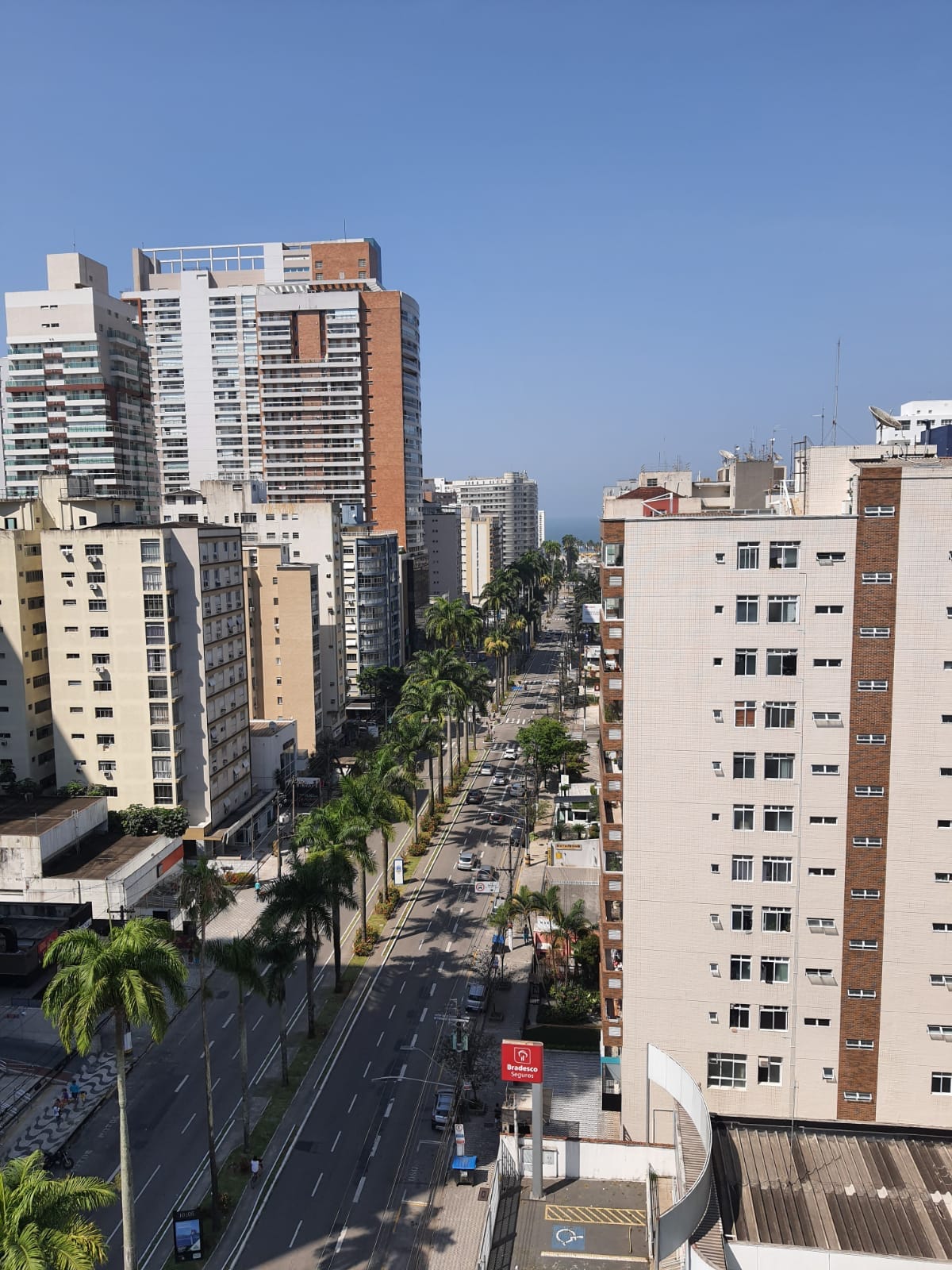 A cityscape view reveals a wide avenue lined with palm trees, leading toward the ocean in the distance. Skyscrapers and high-rise buildings frame both sides of the street, showcasing a blend of modern architecture and urban life.