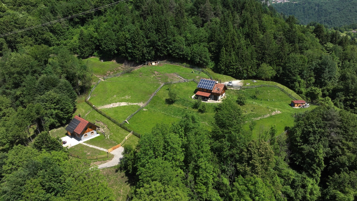 An aerial view captures the serene setting of the chalet surrounded by verdant forests and open green spaces. Solar panels atop the main building reflect a commitment to sustainability. A winding path leads through the landscape, connecting various structures within this tranquil, natural environment.