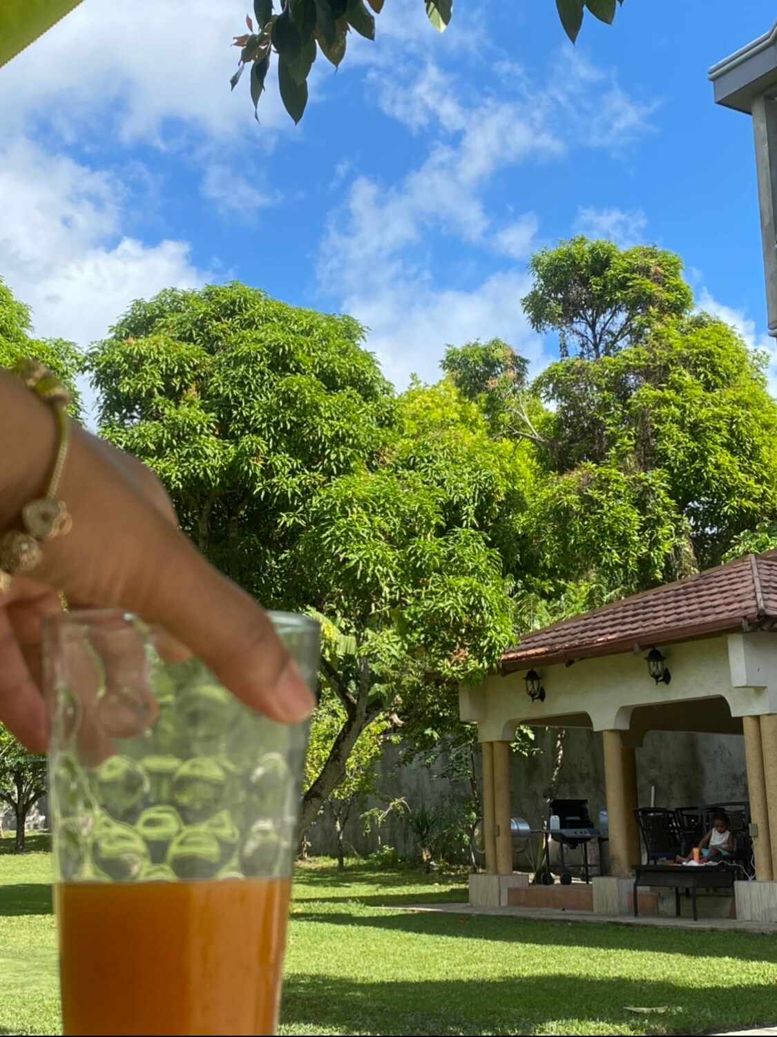 A glass of refreshing orange juice is held in the foreground, while a spacious outdoor area is seen in the background. Lush green trees provide shade, and a covered patio with a grill is visible, inviting relaxation and outdoor cooking.