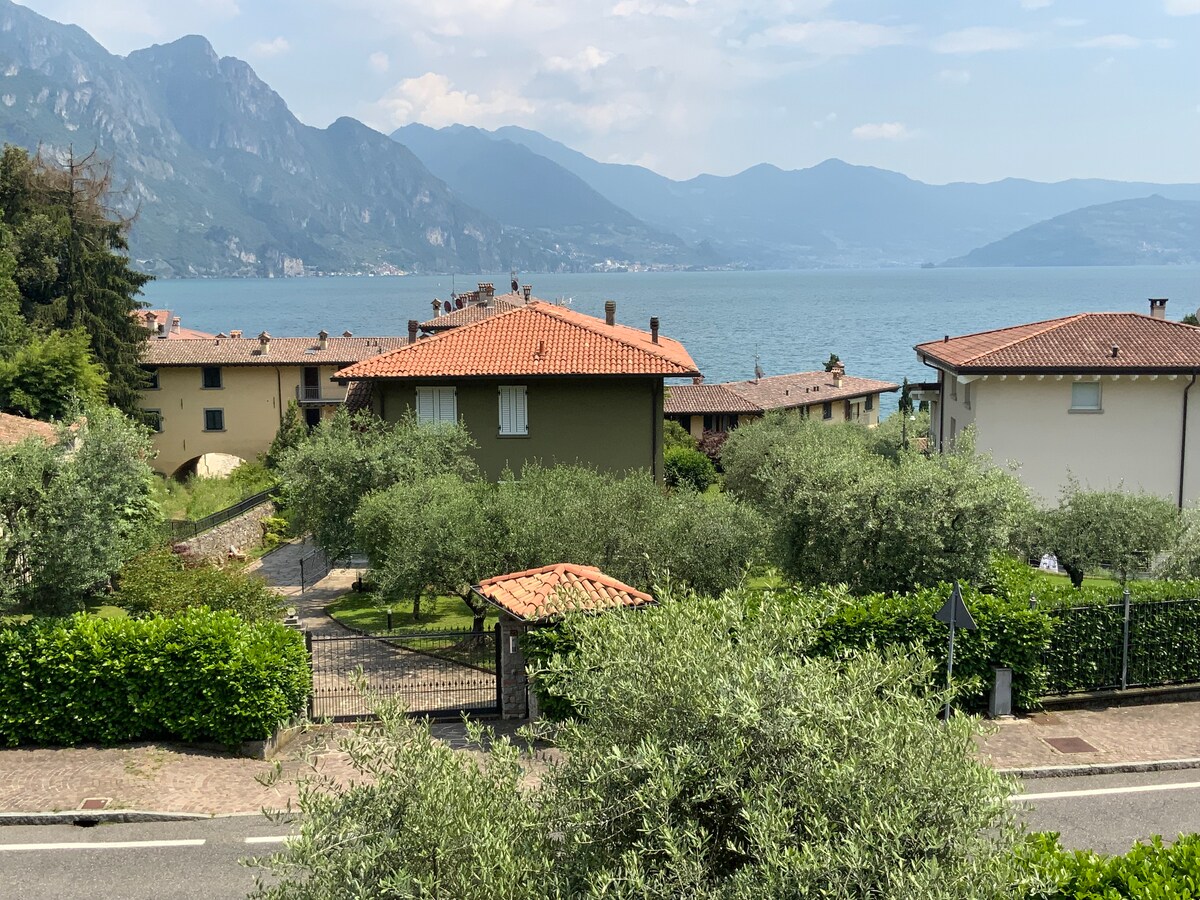 A scenic view showcases an array of olive trees and residential homes with terracotta roofs. The landscape gently slopes towards Lake Iseo, framed by distant mountains under a clear sky. The harmonious blend of greenery and water creates a serene atmosphere.