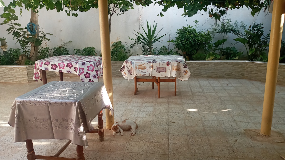 An outdoor patio area is presented with two tables covered in patterned tablecloths. A small dog is seen exploring the ground among light greenery and plants, while a surrounding wall provides privacy.