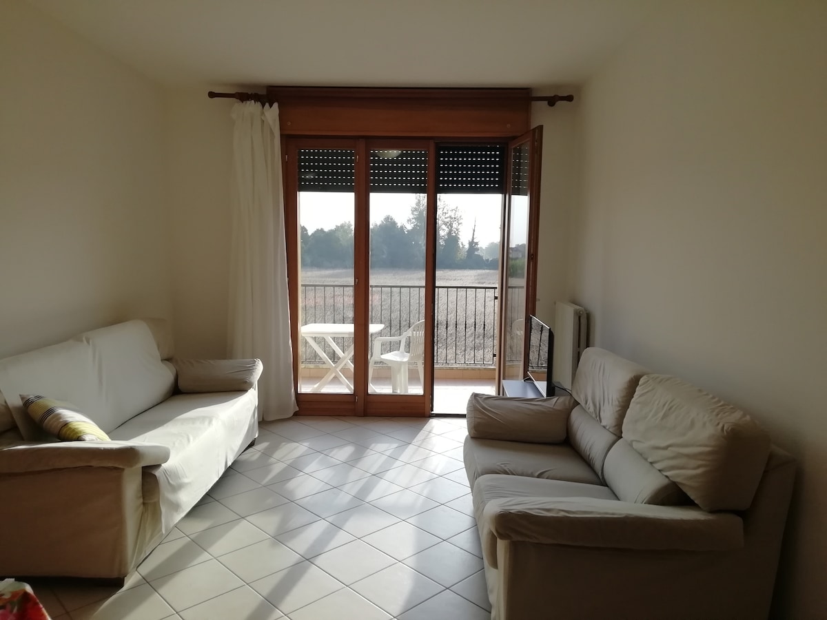 Successful Airbnb property: Holiday Apartment Padova Venezia Agripolis in Padova