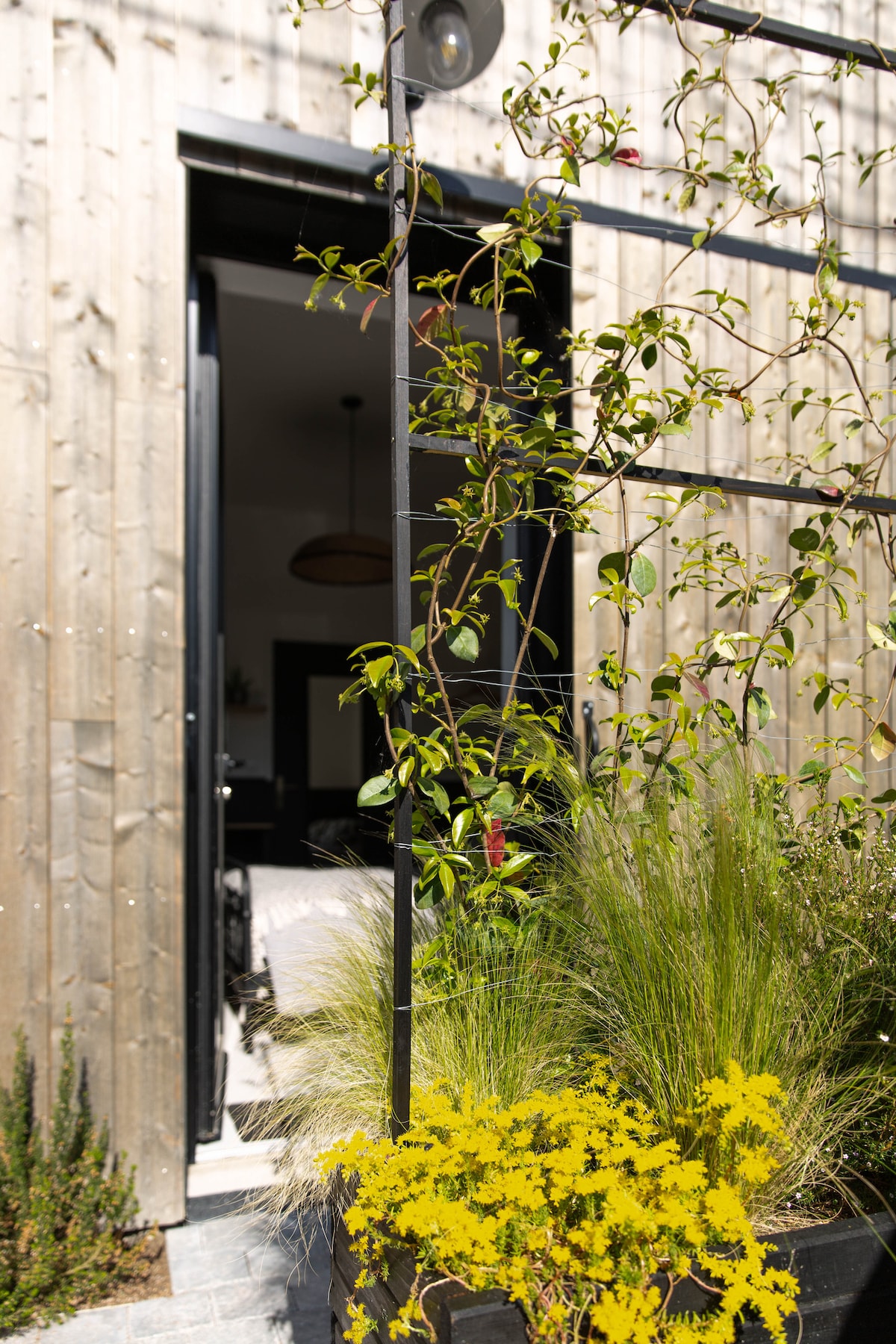 A view of the exterior, featuring a wooden façade. A doorway opens into the interior, framed by climbing greenery. Bright yellow flowers and lush grasses are positioned in planters, enhancing the natural surroundings.