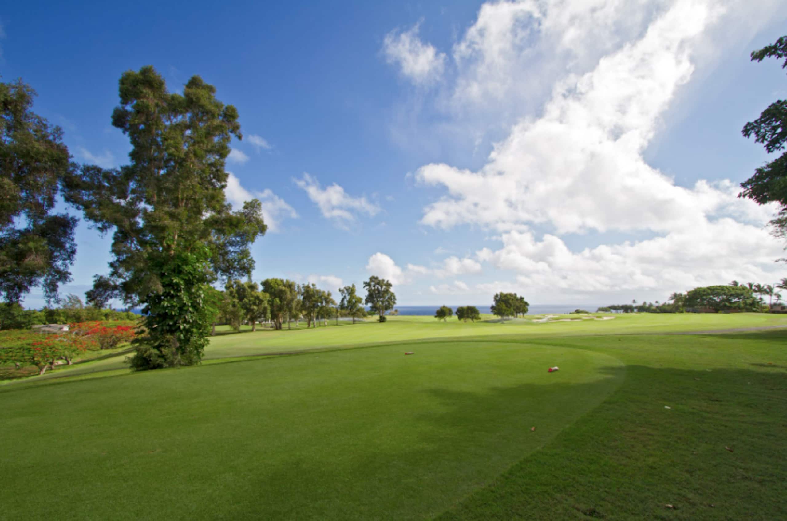 Condo in Princeville · ★5.0 · 1 bedroom · 2 beds · 1 bath - Image 19