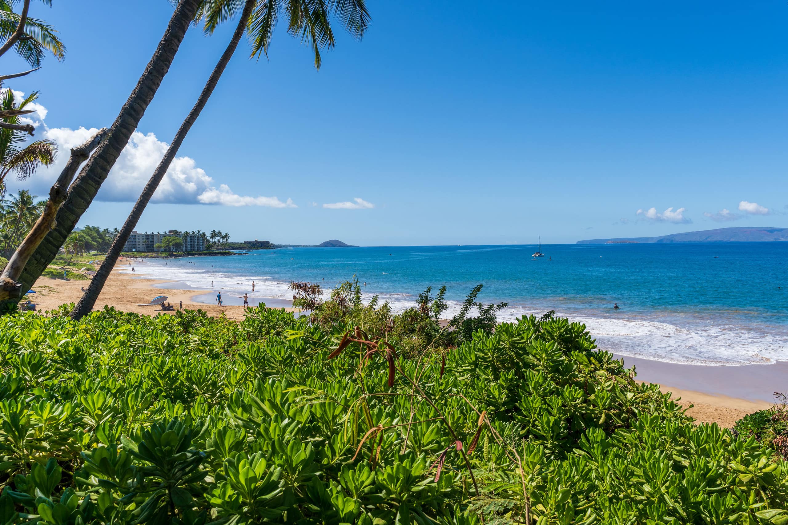 Condo in Kihei · ★5.0 · 2 bedrooms · 4 beds · 2 private baths - Image 41